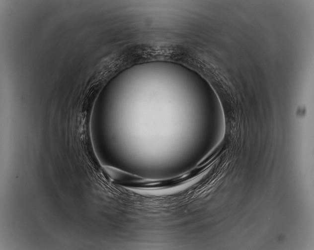 X0000098090818200804041218