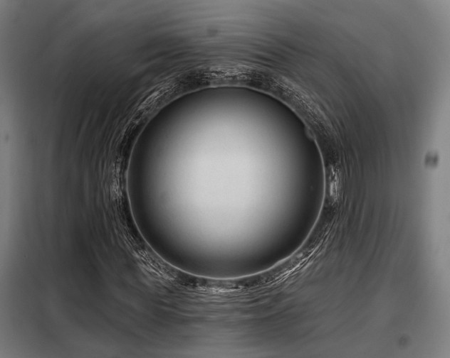 X0000098090819200804041218