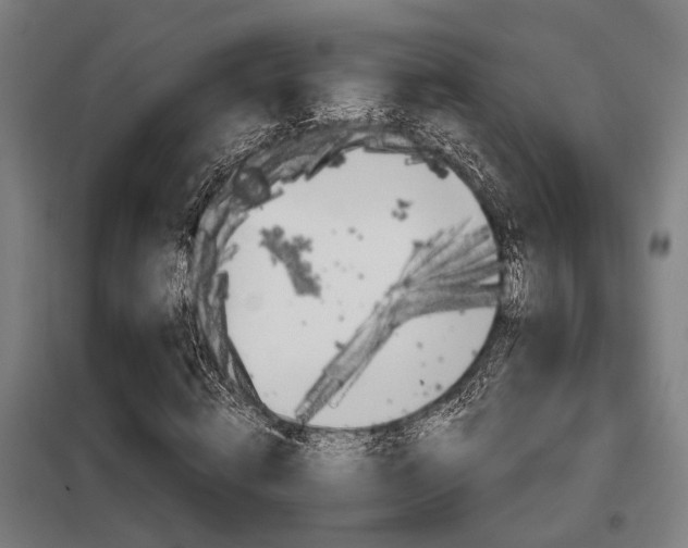 X0000098090820200804041218