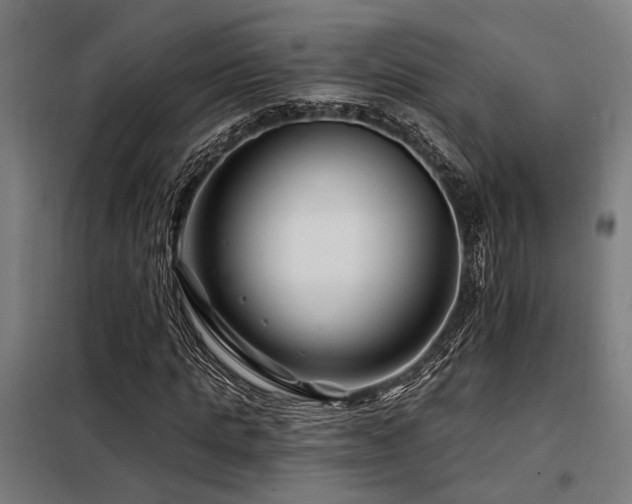 X0000098090821200804041218