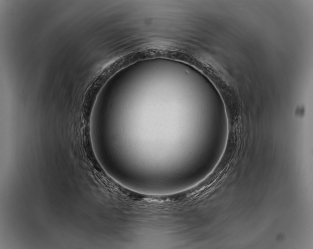 X0000098090822200804041218