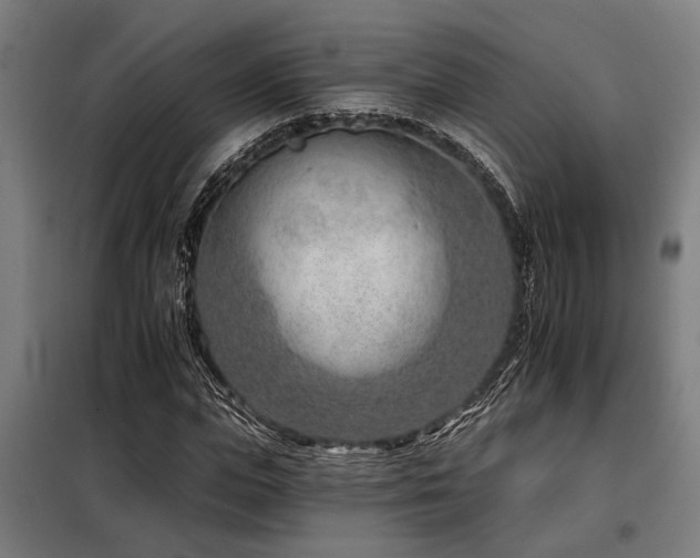 X0000098090823200804041218