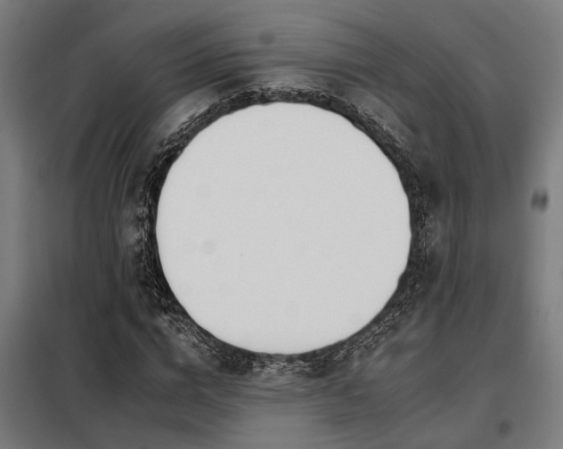 X0000098090824200804041218