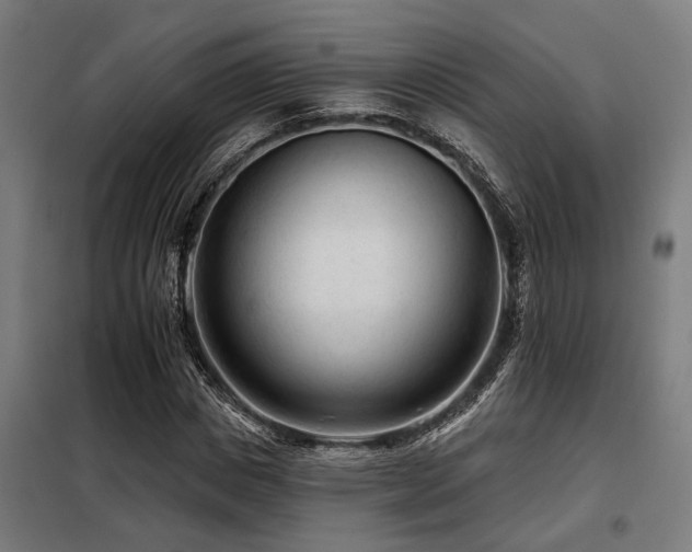 X0000098090825200804041218