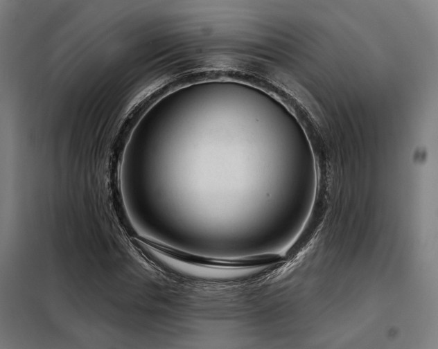 X0000098090826200804041218
