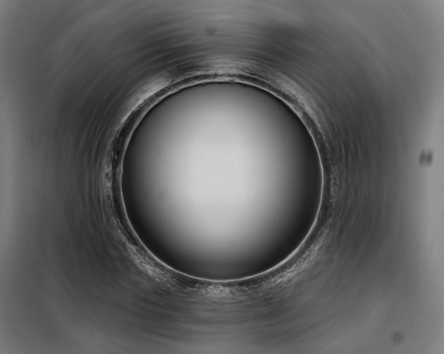 X0000098090827200804041218