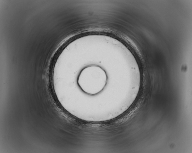 X0000098090828200804041218