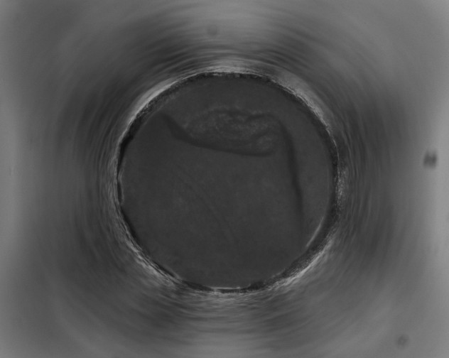 X0000098090829200804041218