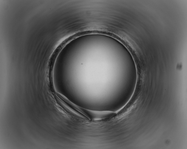X0000098090830200804041218