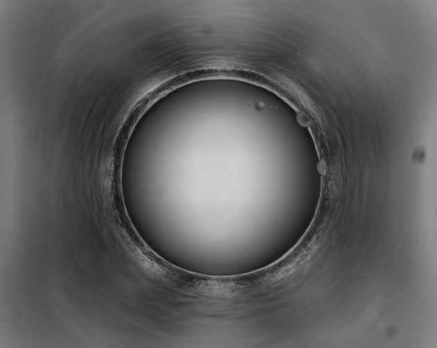 X0000098090831200804041218