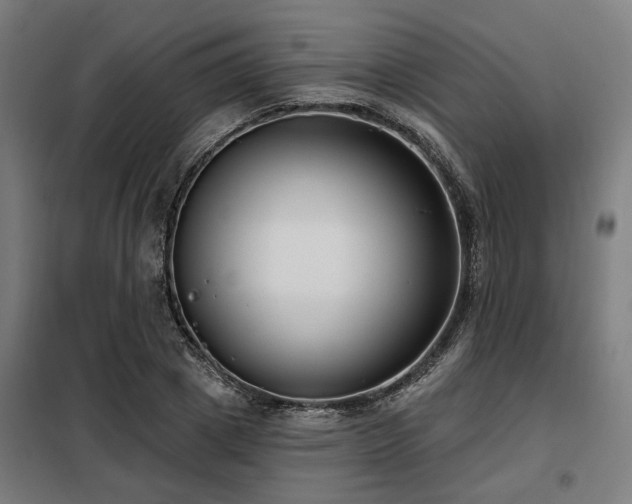 X0000098090833200804041218
