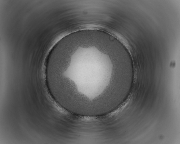 X0000098090835200804041218