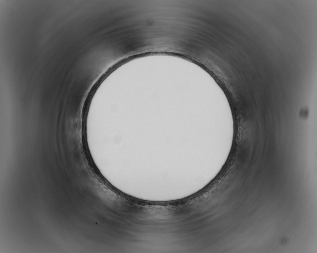X0000098090836200804041218