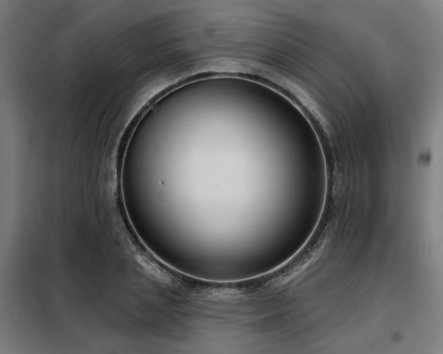 X0000098090837200804041218