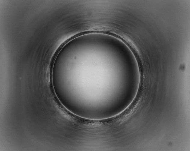X0000098090838200804041218