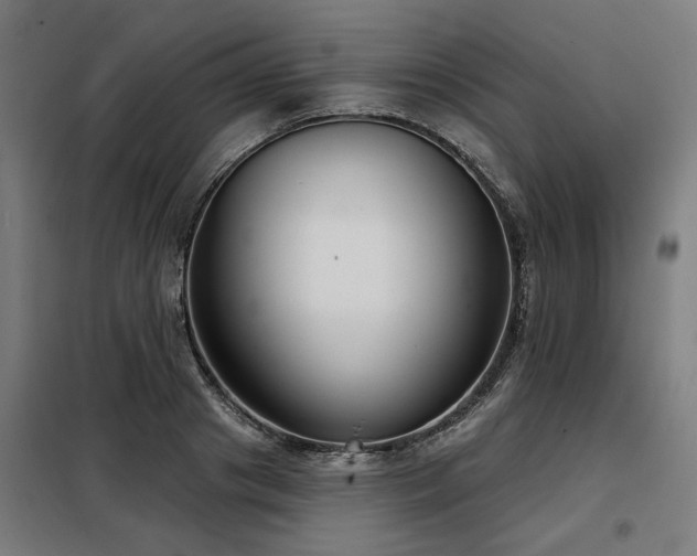 X0000098090841200804041218