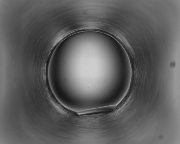 X0000098090842200804041218