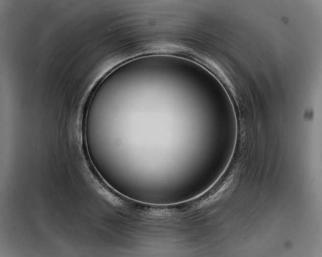 X0000098090843200804041218
