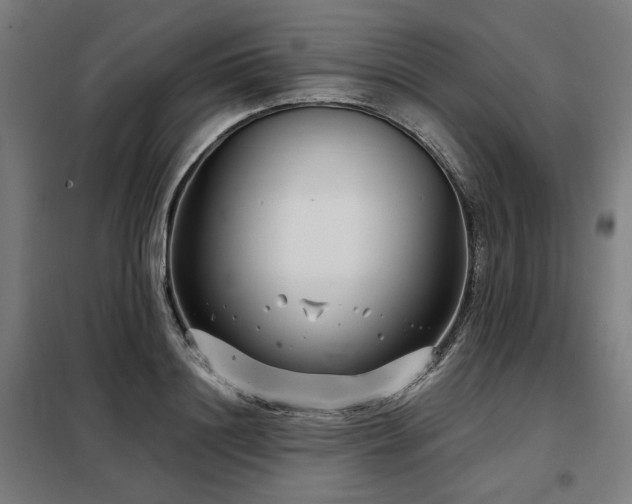X0000098090844200804041218