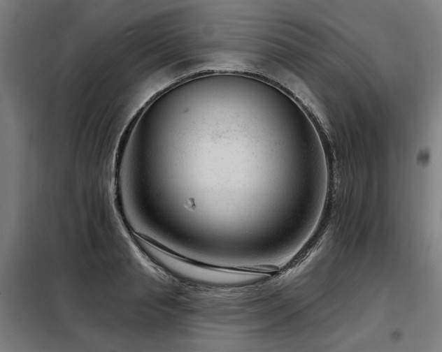 X0000098090845200804041218