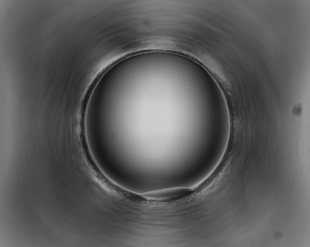 X0000098090846200804041218