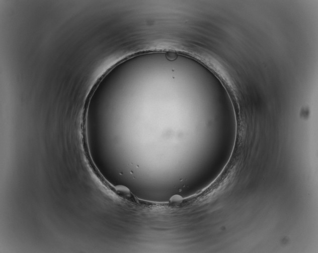 X0000098090847200804041218