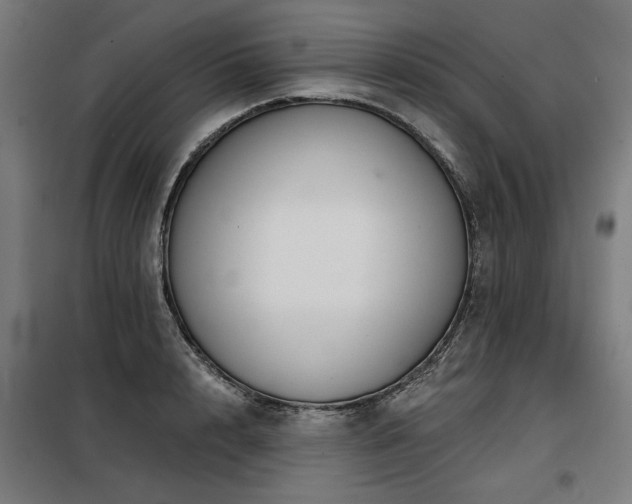 X0000098090848200804041218