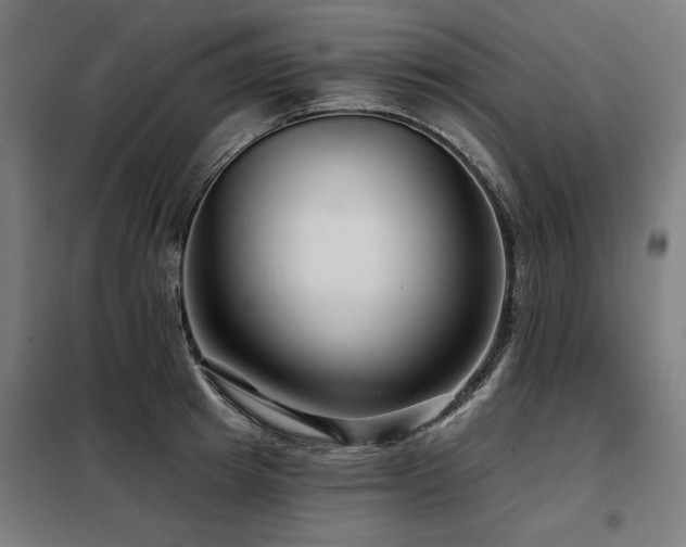 X0000098090849200804041218