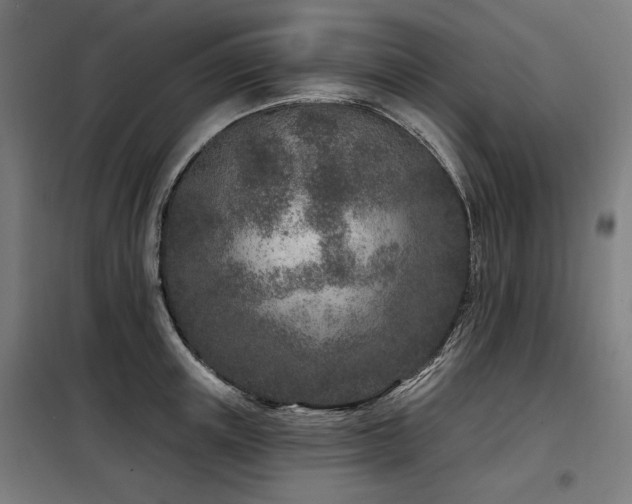 X0000098090851200804041218