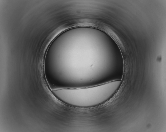 X0000098090852200804041218