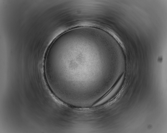X0000098090853200804041218