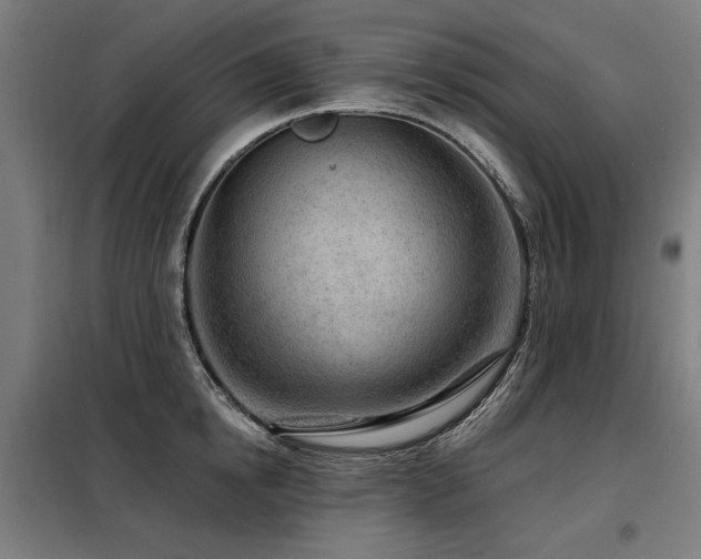 X0000098090854200804041218
