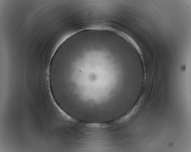 X0000098090855200804041218