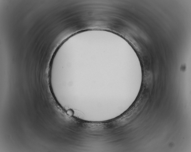 X0000098090856200804041218