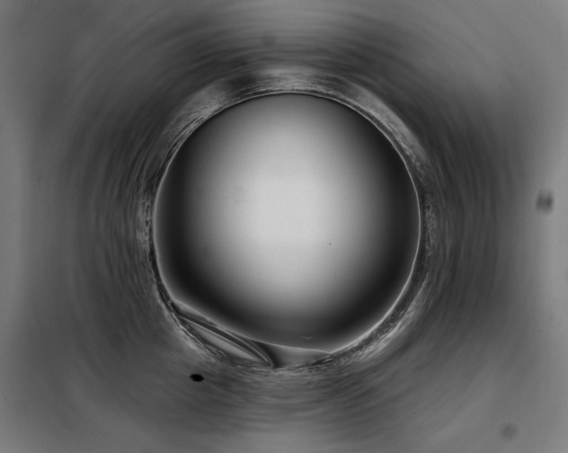 X0000098090857200804041218