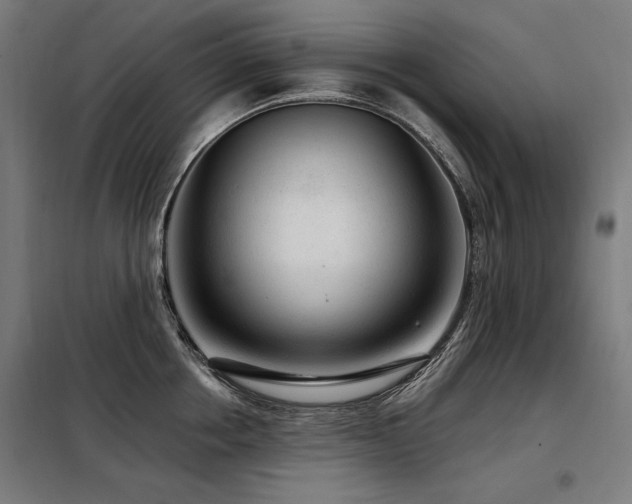 X0000098090858200804041218
