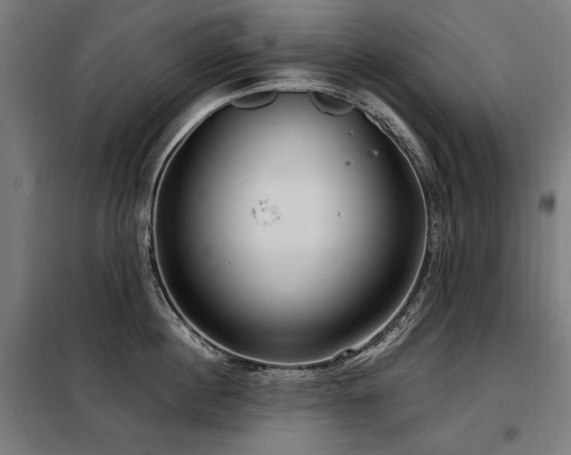 X0000098090860200804041218
