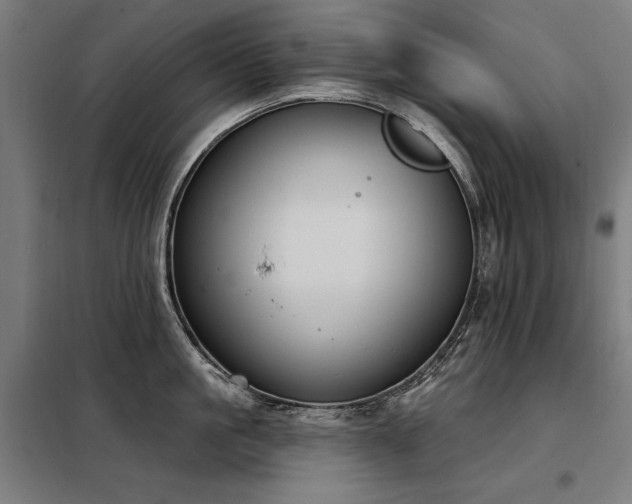 X0000098090861200804041218