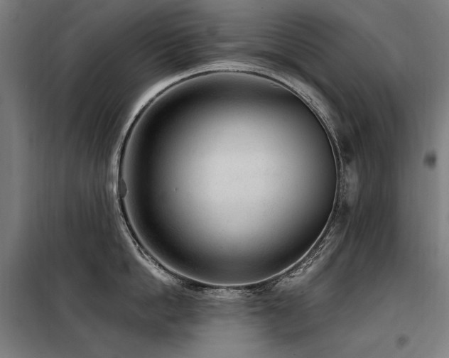 X0000098090862200804041218