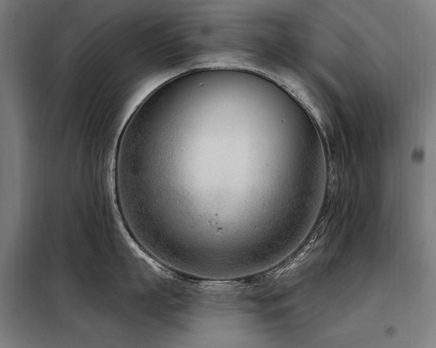 X0000098090863200804041218