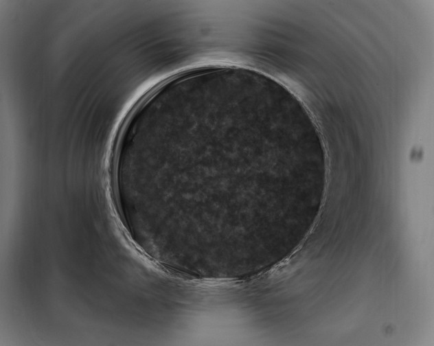 X0000098090864200804041218