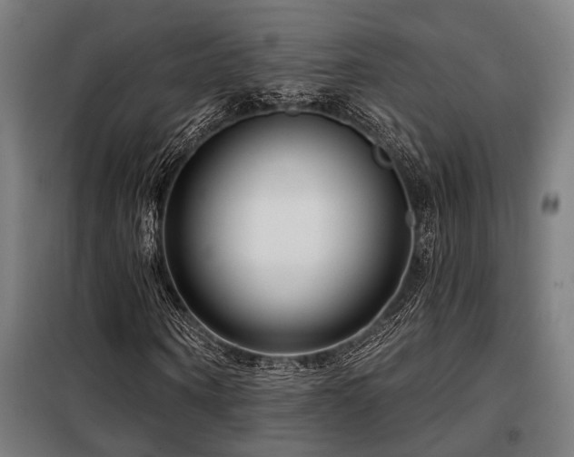 X0000098090866200804041218