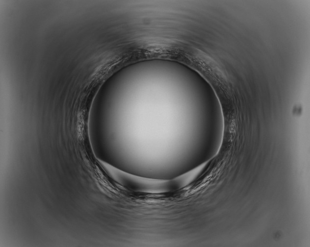 X0000098090868200804041218