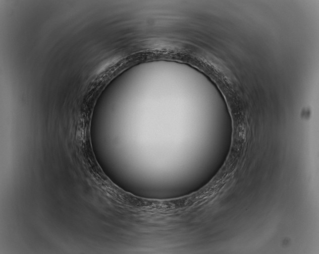 X0000098090869200804041218
