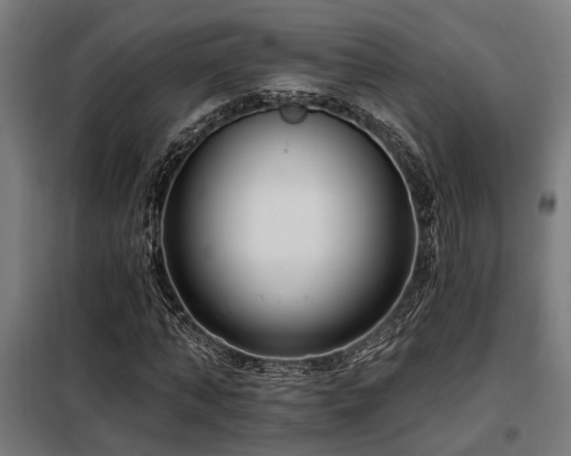 X0000098090870200804041217