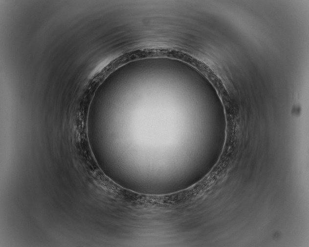 X0000098090871200804041217