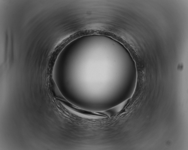 X0000098090872200804041217
