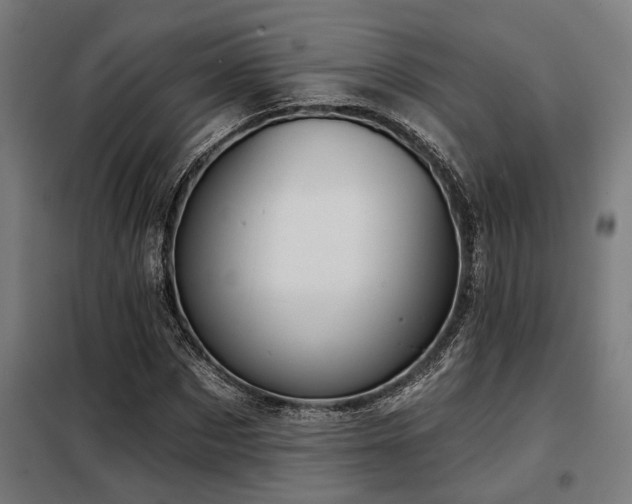 X0000098090873200804041217