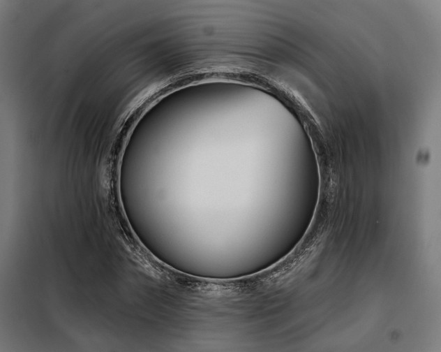 X0000098090874200804041217