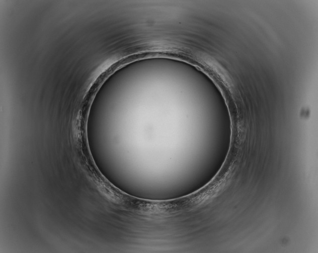 X0000098090875200804041217
